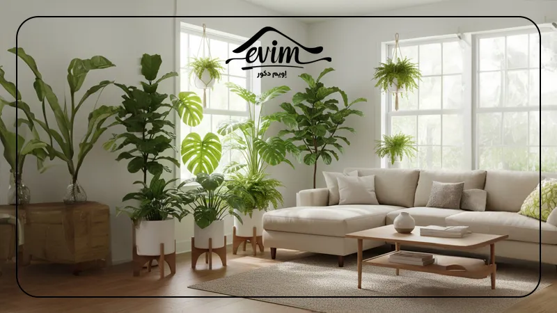 استفاده از گیاهان برای افزایش نور طبیعی خانه